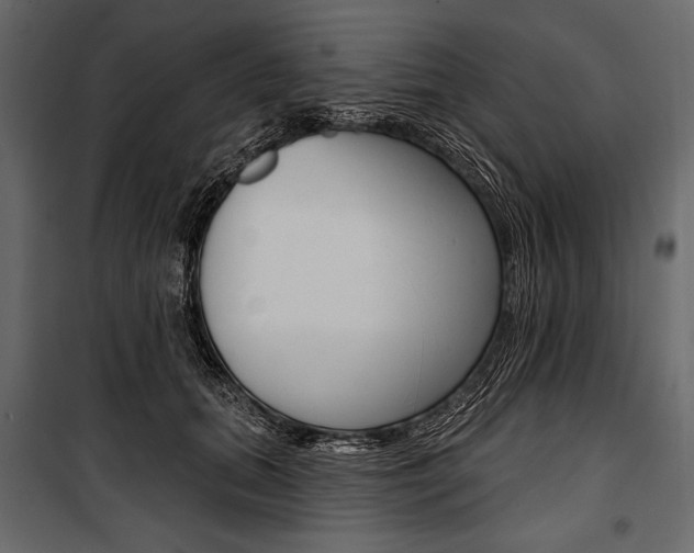 X0000100920655200806241114