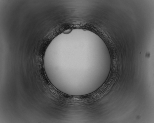 X0000100920657200806241114
