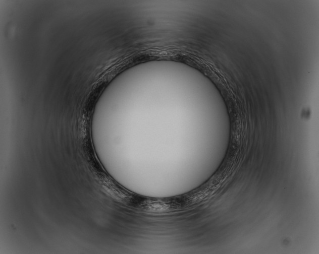 X0000100920658200806241114