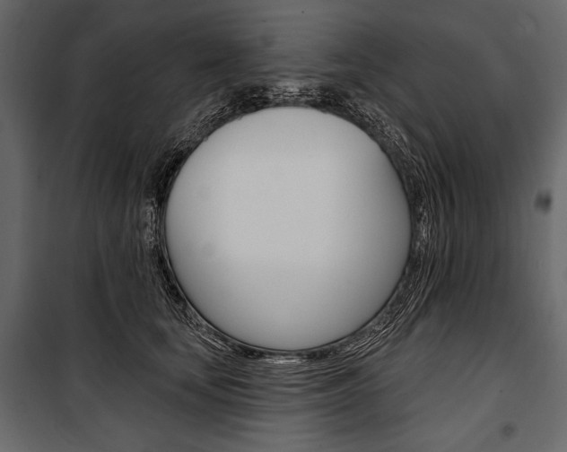 X0000100920659200806241114