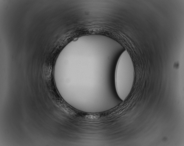 X0000100920660200806241114
