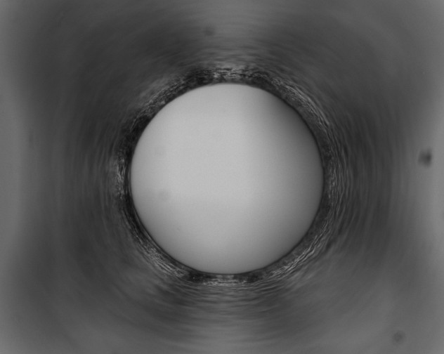 X0000100920661200806241114