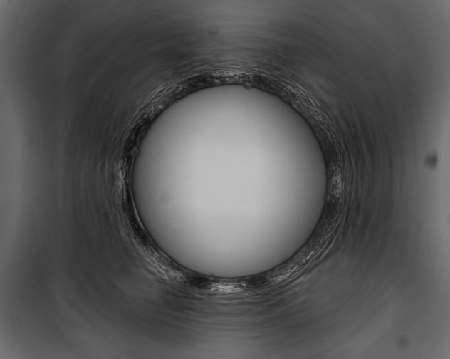 X0000100920662200806241114