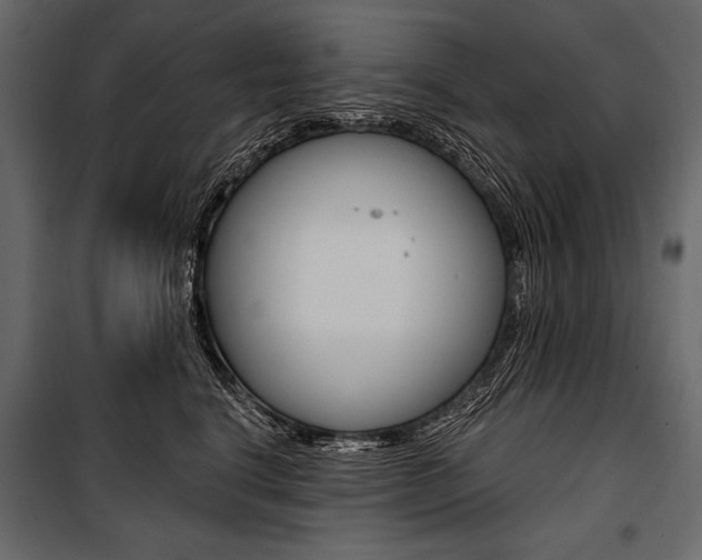 X0000100920664200806241114