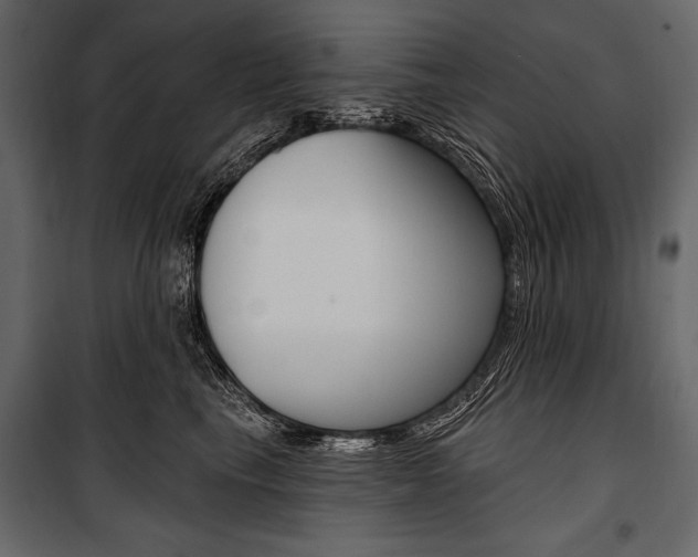 X0000100920665200806241114