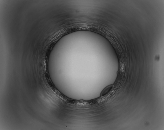 X0000100920666200806241114