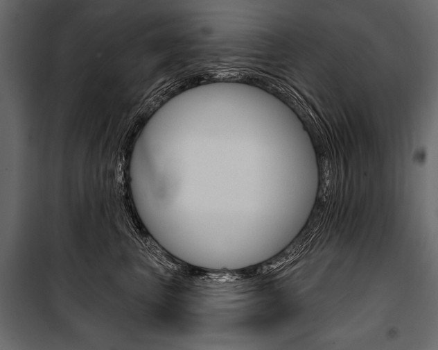 X0000100920667200806241114