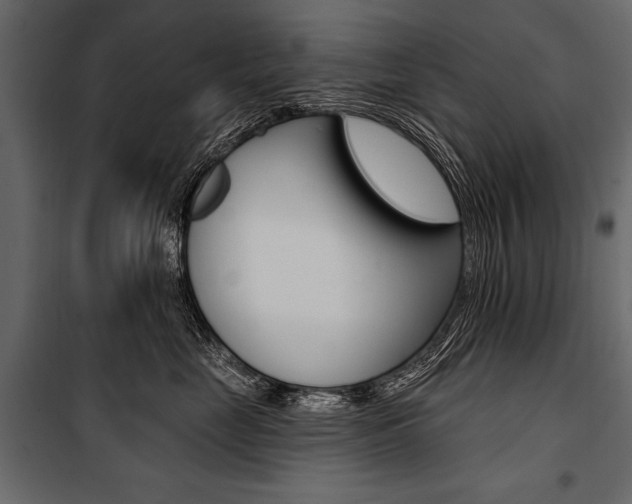 X0000100920669200806241114