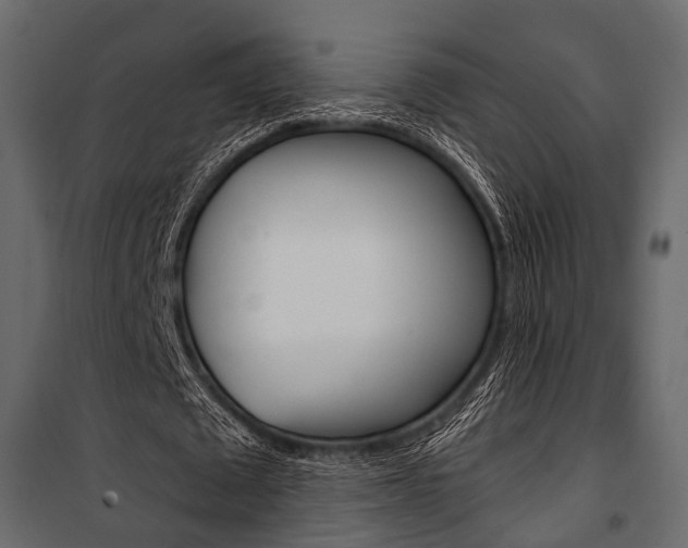 X0000100920673200806241114