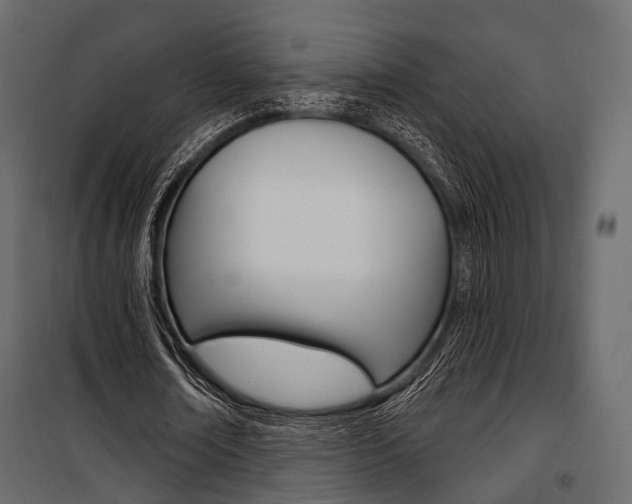 X0000100920674200806241114