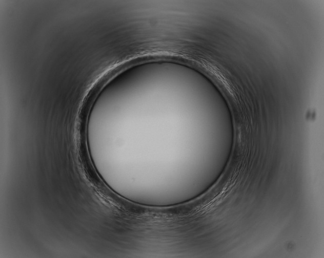 X0000100920676200806241114