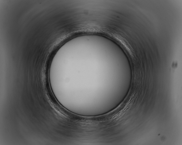 X0000100920677200806241114