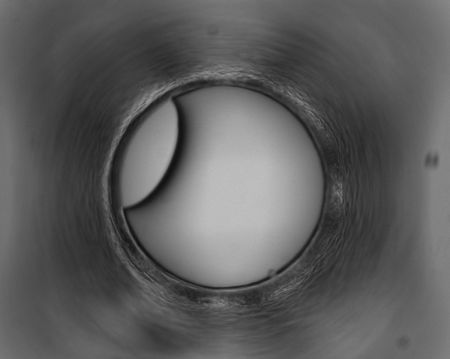 X0000100920678200806241114
