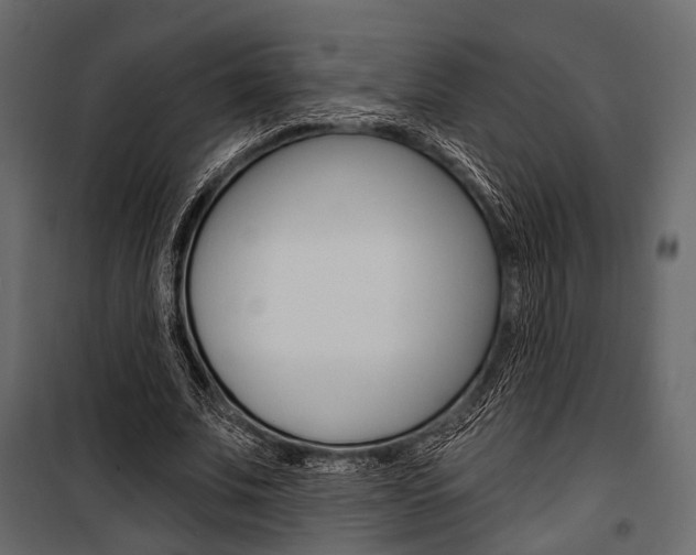 X0000100920679200806241114