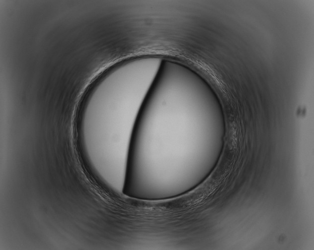 X0000100920680200806241114