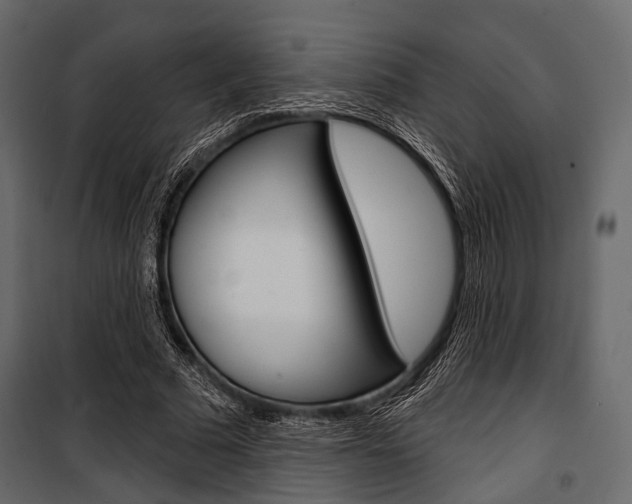 X0000100920681200806241114