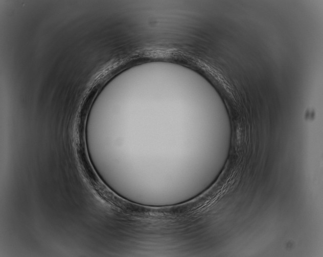 X0000100920682200806241114