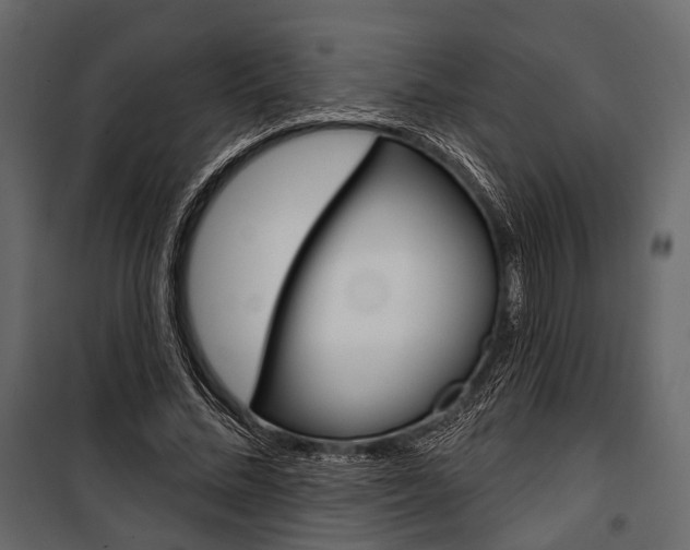 X0000100920684200806241114