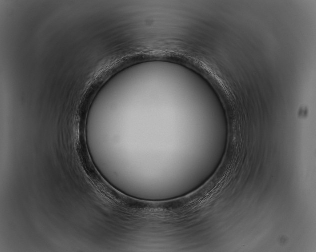 X0000100920685200806241114