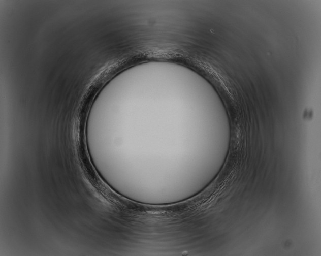 X0000100920686200806241113