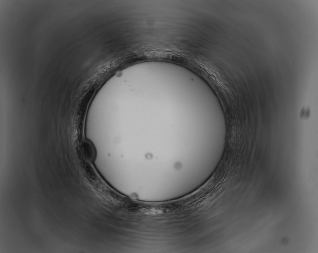 X0000100920687200806241113