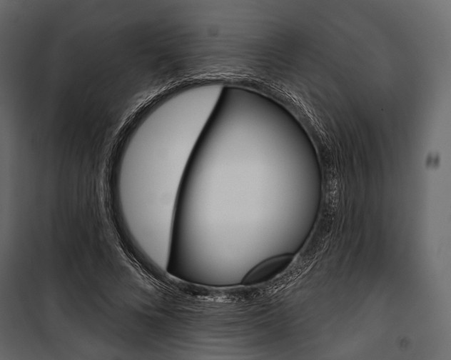 X0000100920688200806241113