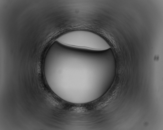 X0000100920689200806241113