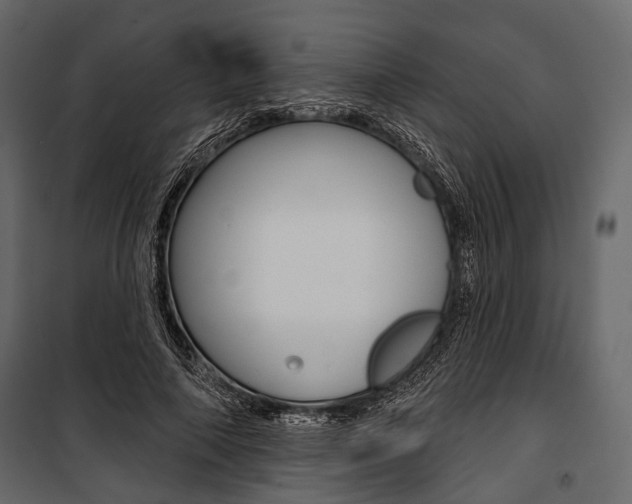 X0000100920690200806241113