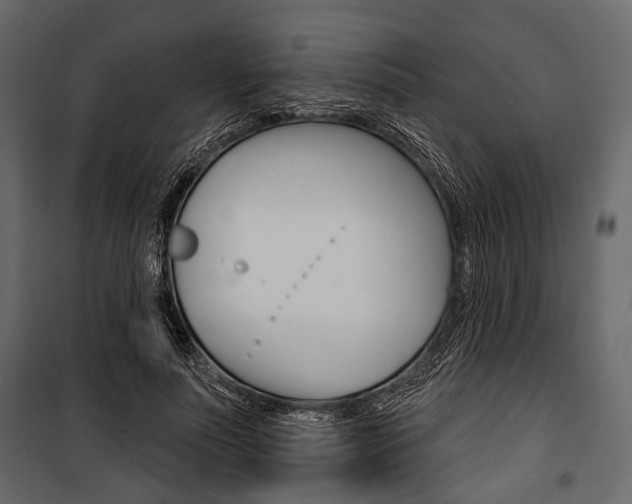 X0000100920691200806241113