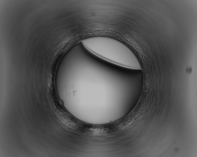 X0000100920693200806241113