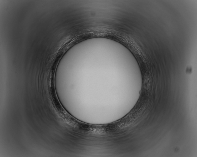 X0000100920694200806241113