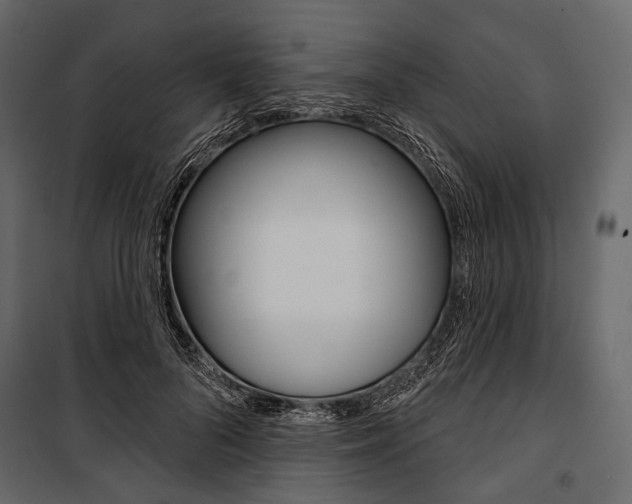 X0000100920696200806241113