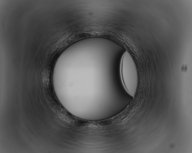 X0000100920697200806241113
