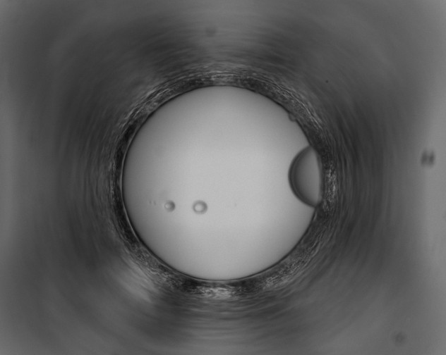 X0000100920698200806241113