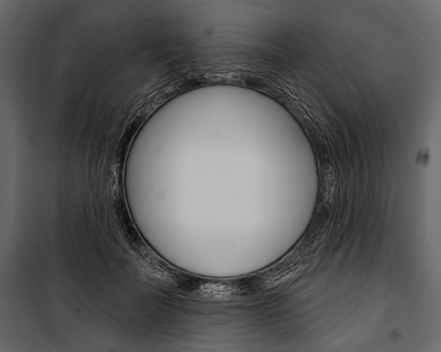 X0000100920699200806241113