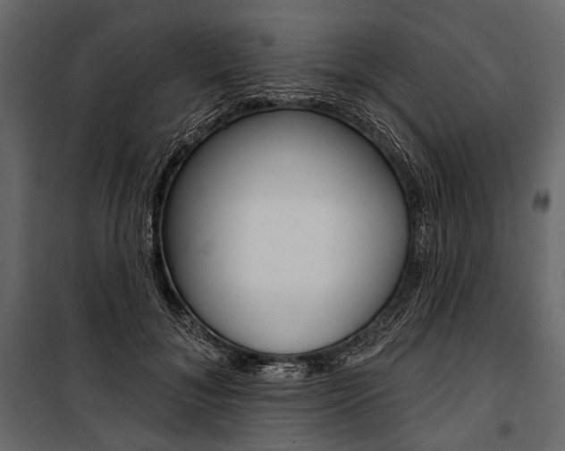 X0000100920700200806241113