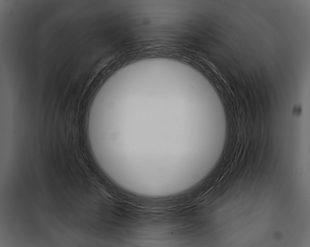 X0000100920701200806241113
