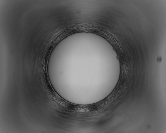 X0000100920702200806241113