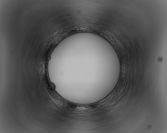 X0000100920703200806241113