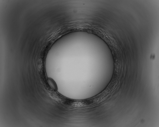 X0000100920704200806241113