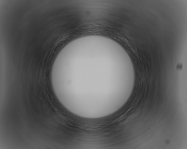 X0000100920705200806241113