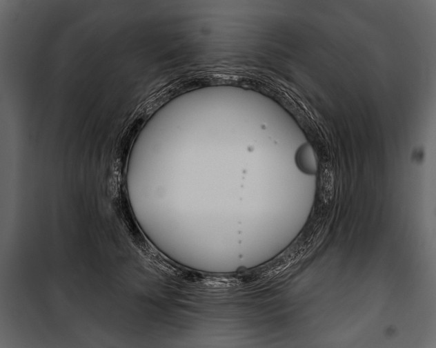 X0000100920707200806241113