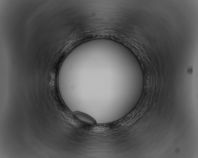 X0000100920708200806241113