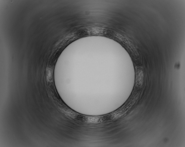 X0000100920709200806241113