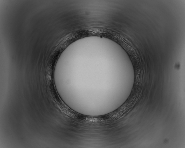 X0000100920710200806241113