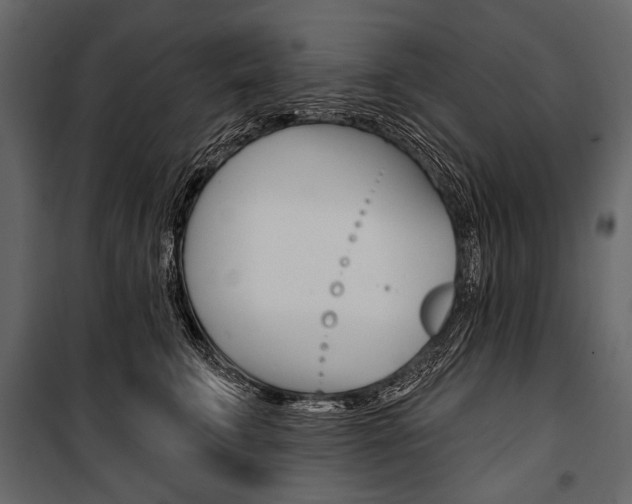 X0000100920711200806241113