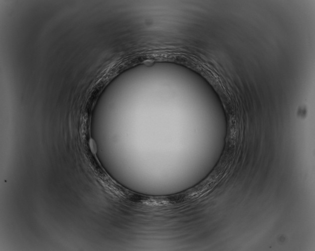X0000100920712200806241113