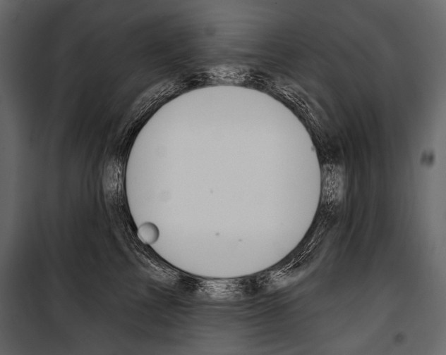 X0000100920713200806241113