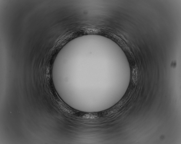 X0000100920714200806241113