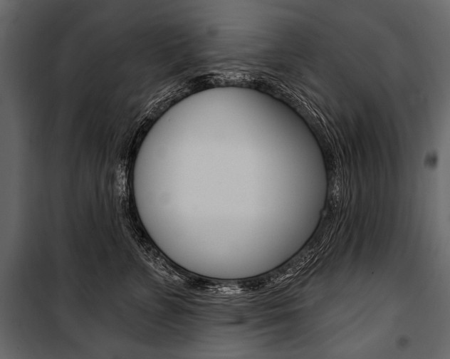 X0000100920715200806241113